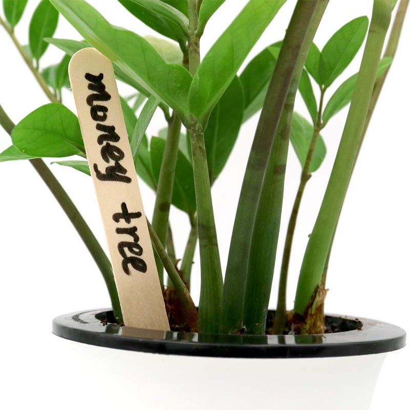 KINGLAKE 6" Wood Garden Plant Labels,150 Pcs Garden Plant Tags,Wood Sticks - Image 3